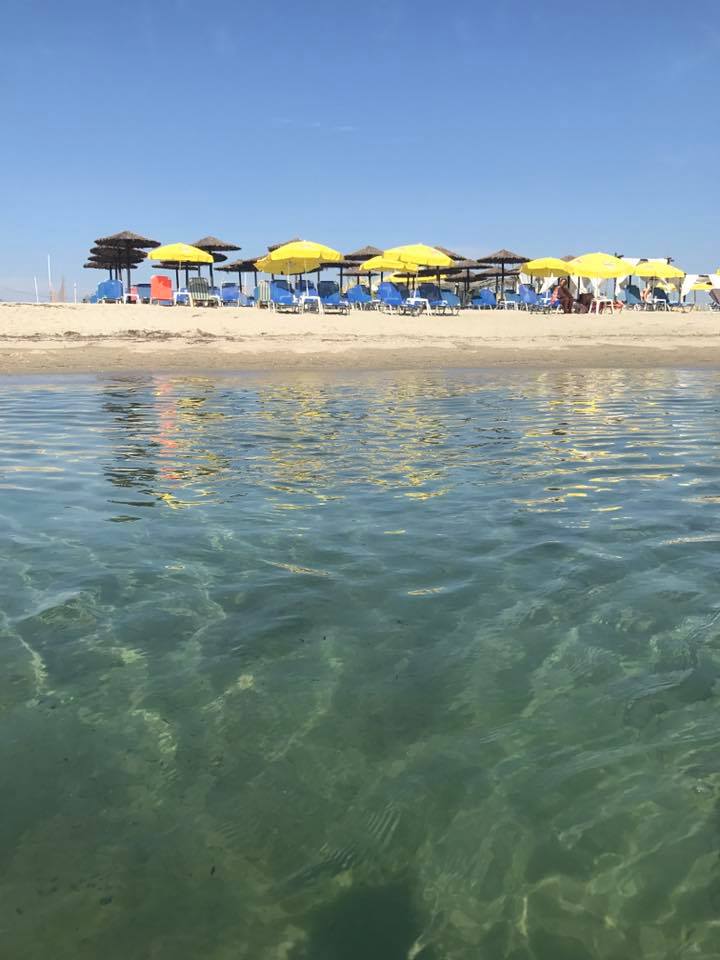 21558628_1575566379180973_7225104951693930510_n